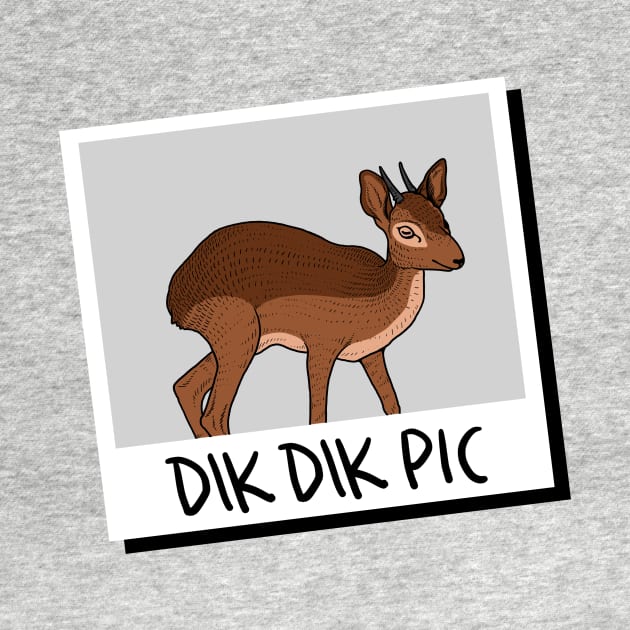 Dik Dik Pic by dumbshirts